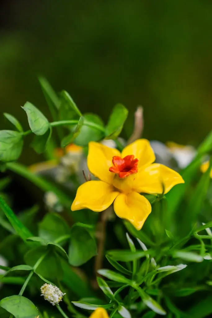 BL 1.webp