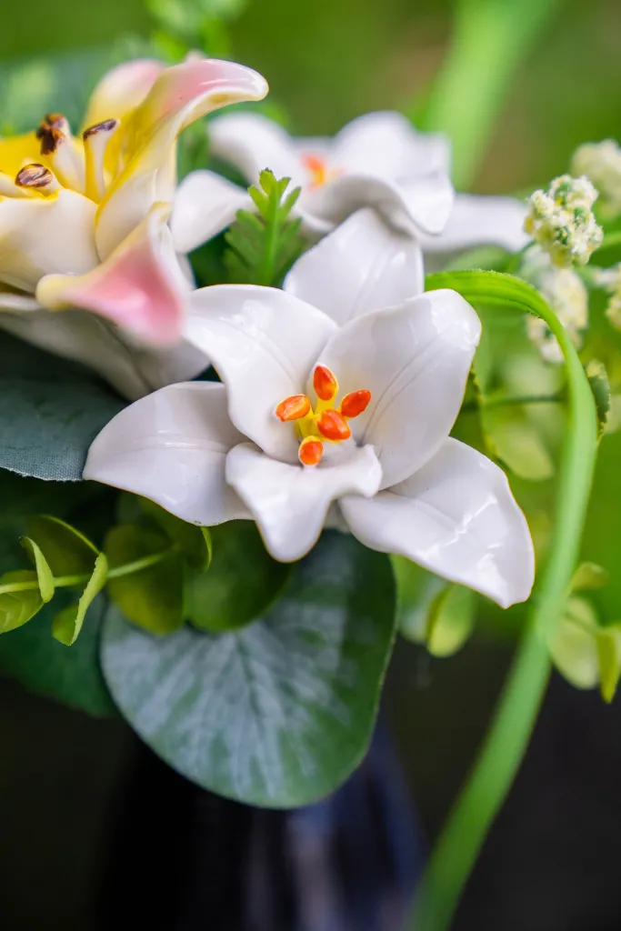 LILY BL 1.webp