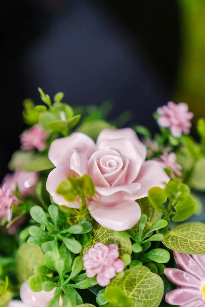CERISE BL2.webp