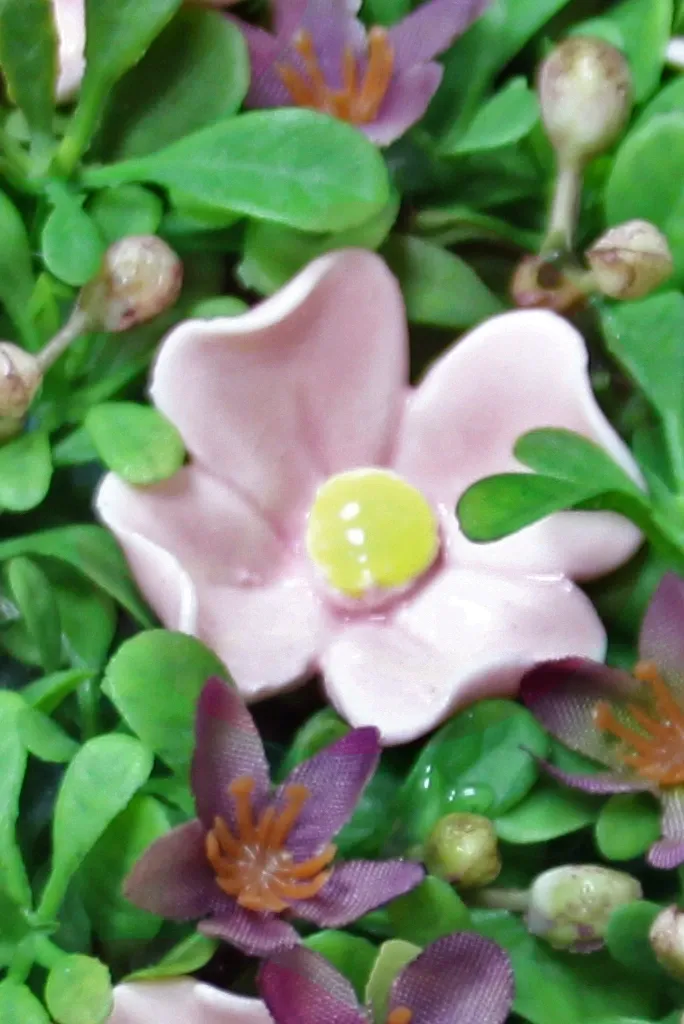 Clara BL 2.webp