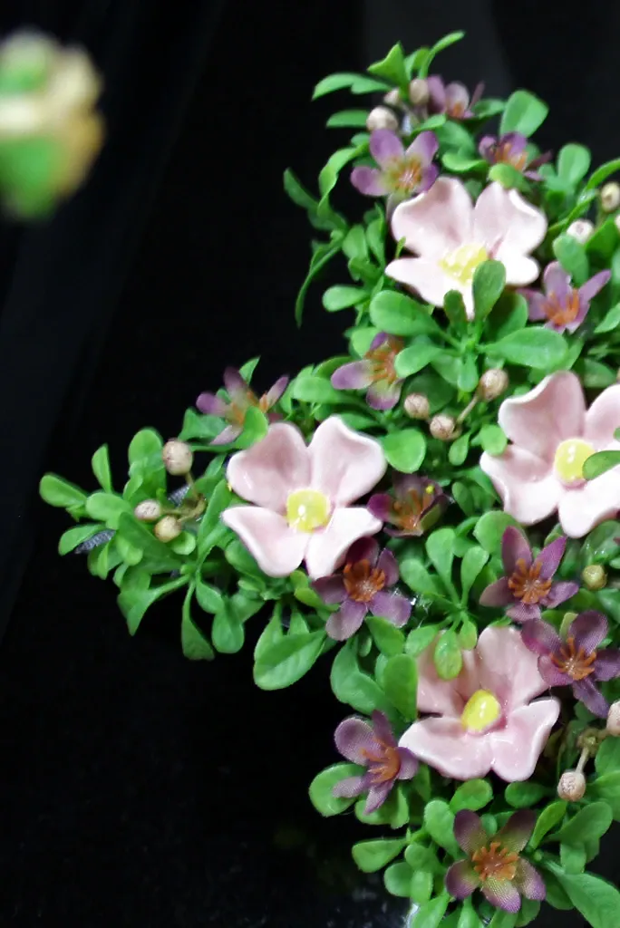 Clara BL 1.webp