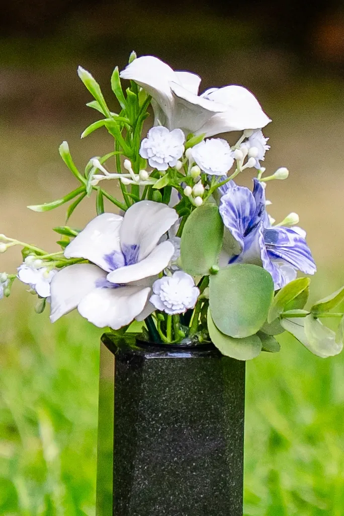 VIOLET HDF 1 kopie.webp