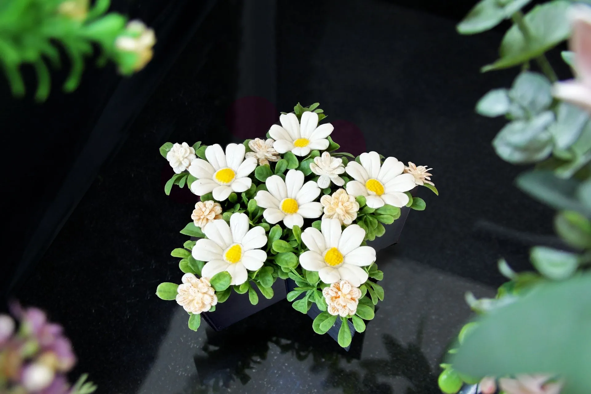 Daisy (klein)
