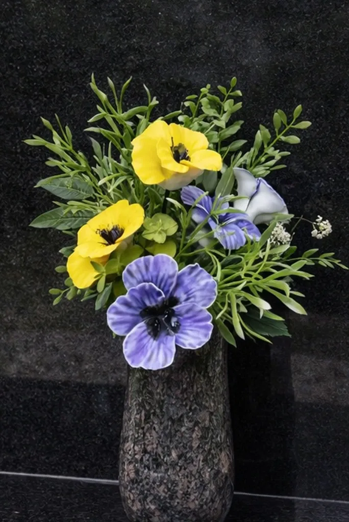 Viola