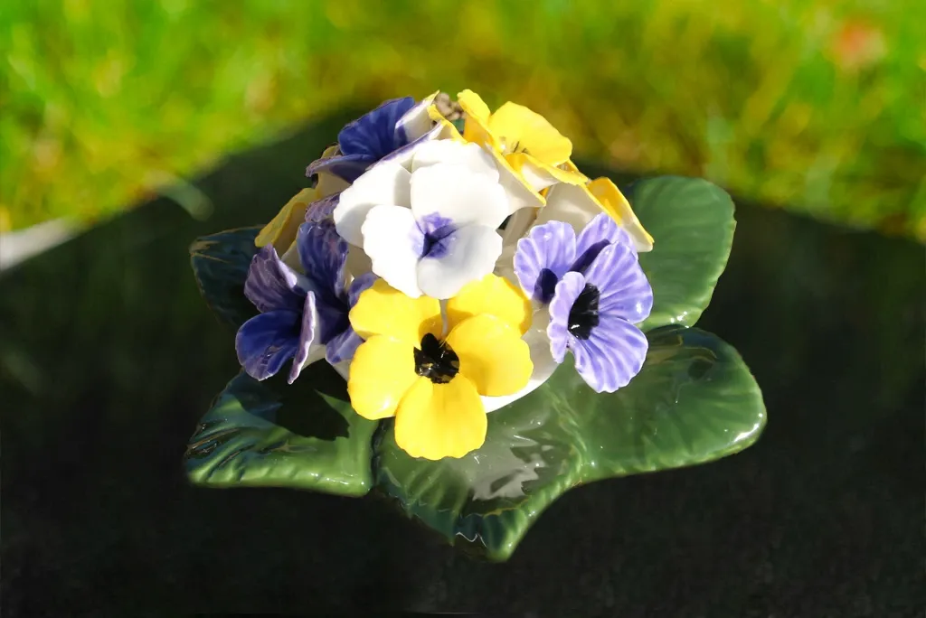 Viooltjes cluster