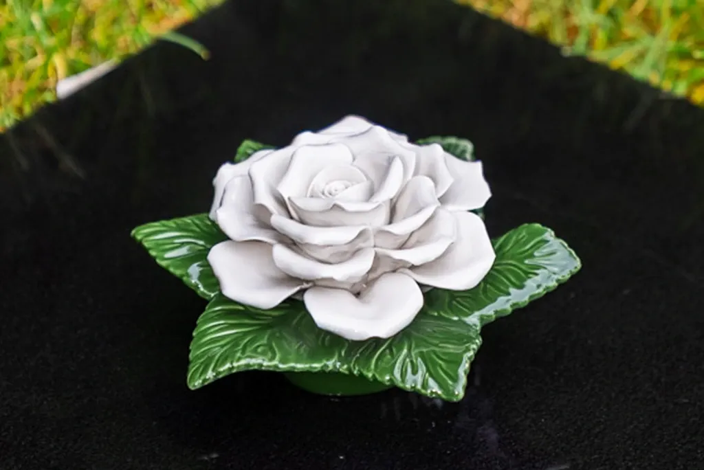 Enkele witte roos