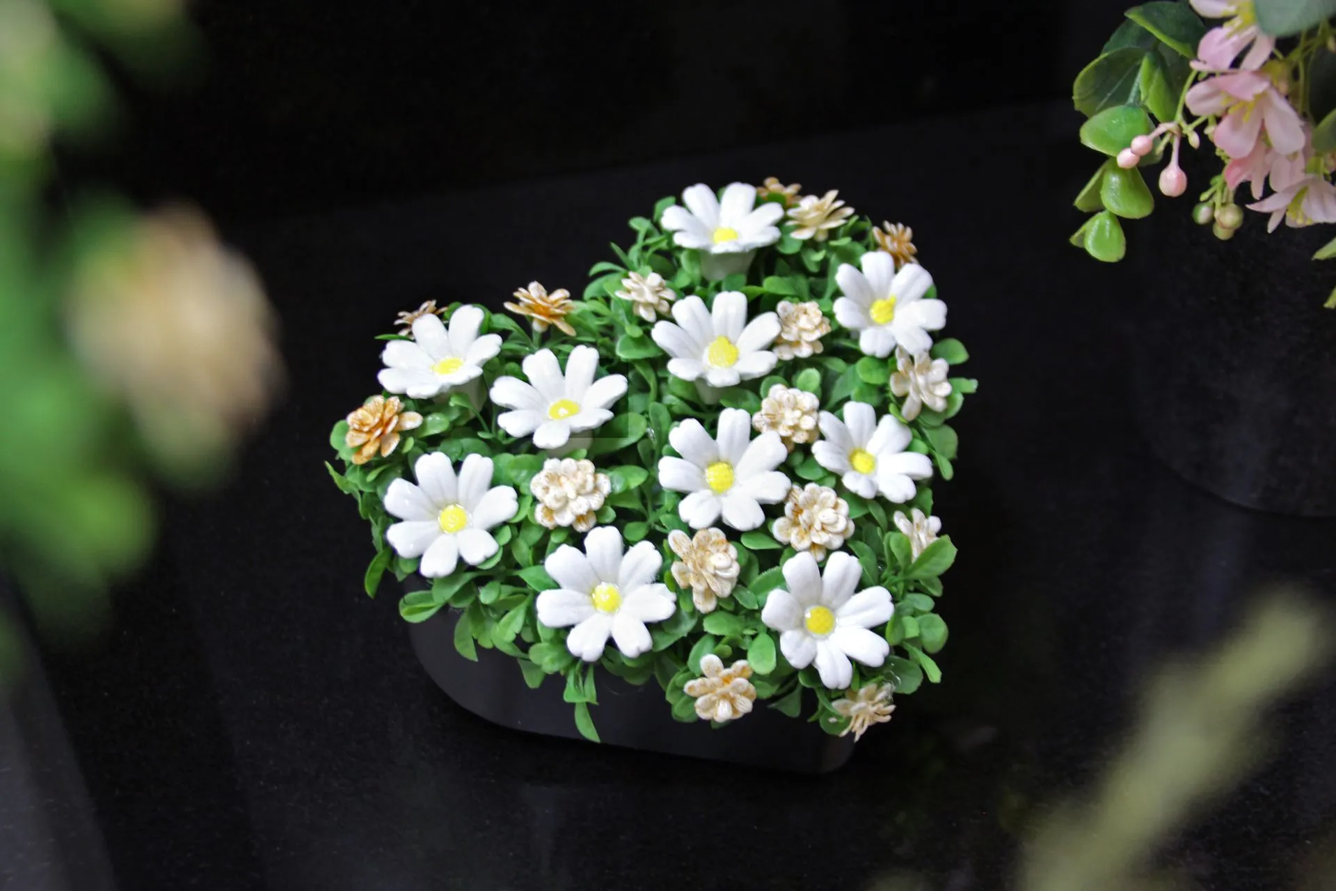 Daisy
